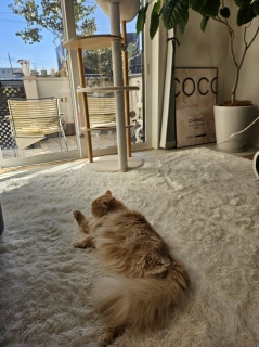 2�K�̃x�b�g��