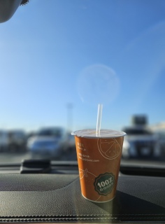 ���̒���