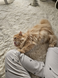 �K���K��