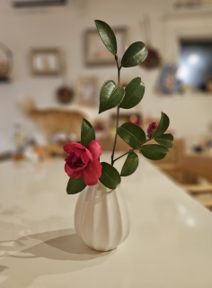 �N������