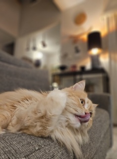 �����w�`�_�C�W�F�X�g