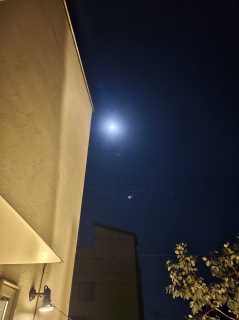 �����̉��ɐ�