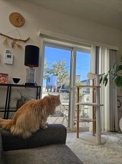 �|�J�|�J���ˁ[