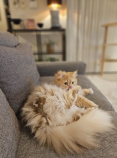 ������ 17:45