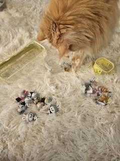 �������O�b�Y