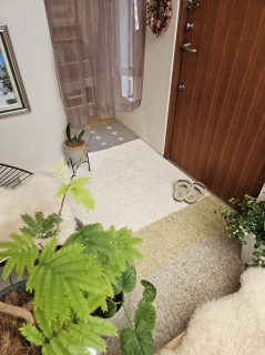 ���֌��s���N�X�y�[�X