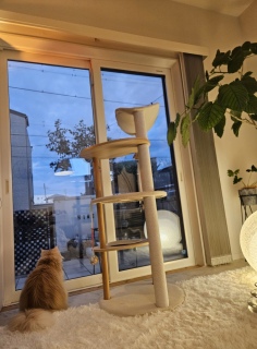 ���₢��A�����̈��