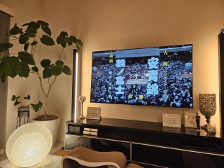 ���o�E�̐���