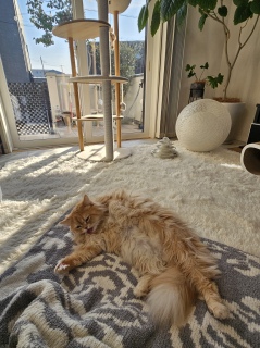 �S���S��