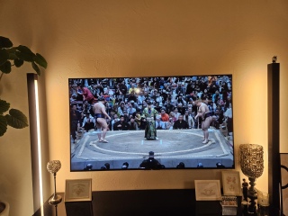 ���o�E�̐��� ���I