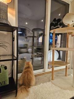 �e���X�ɏo�����L