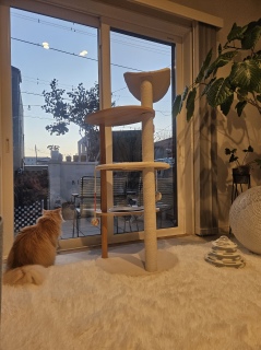 ���͂�[��