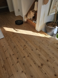 �x�e�^�C��