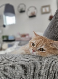 �����Ȏ��ɂ�����