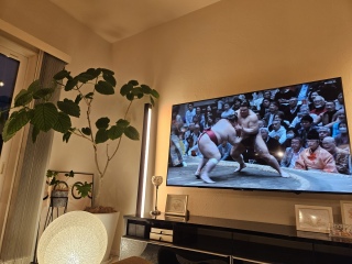 �{���̑��o�E�̐���