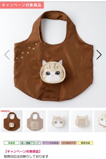 �ʂɏo����ˁ[