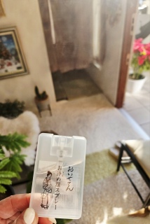 ���ɐ�����X�v���[