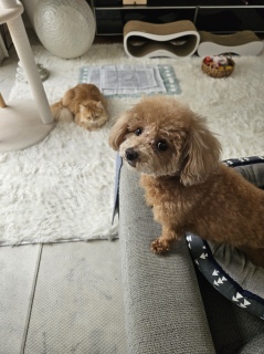 �㉺�֌W�o�b�`��