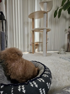 �s���N�т�����