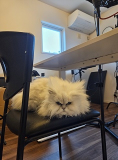 ���̂����b