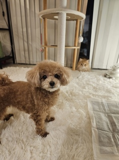 ���������[��