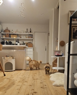 �{�[������