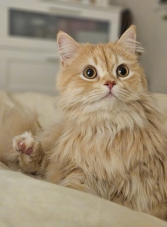 �����ɂ�[