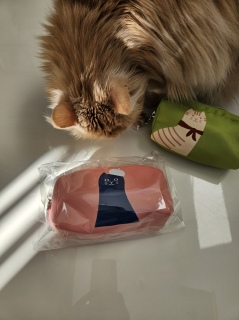 �I�ɍ�������