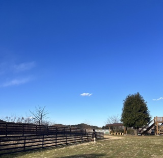 �Ȃ��Ȃ���