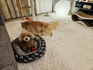 ���ƈꎞ�Ԃ�