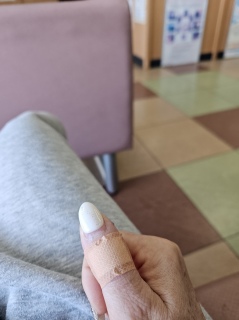 ���g���ȊO��