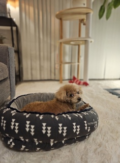 �������Ă�Ȃ�A�G��Ȃ��ł�