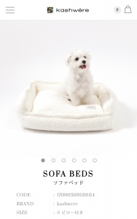 �J�V�E�G�A