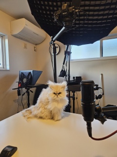 �G���}�����