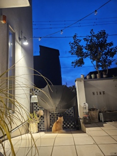 ���͂�[��