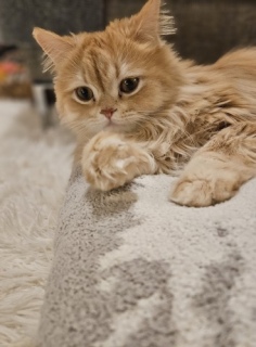 �܂�����