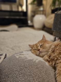 �Q�������