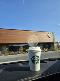 ���V�[�g��