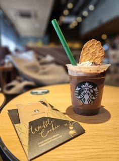 �X�^�o�O���̓�