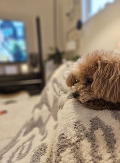 �܂�����^�C��