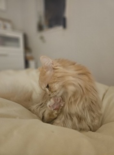 �}�} ������[