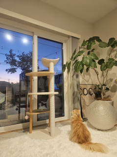 �������Ɋ�����