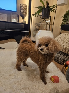 ���������[��