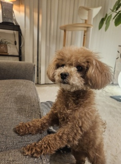 ���҂���