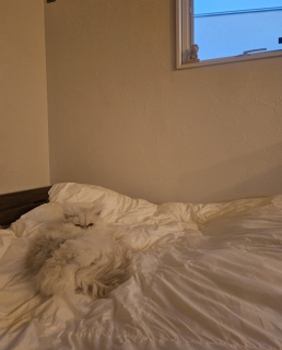 �G���}�����