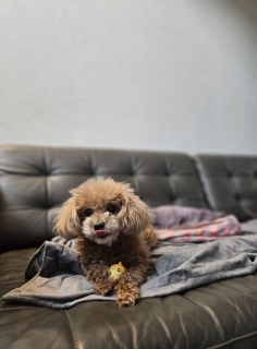 ���̂����b