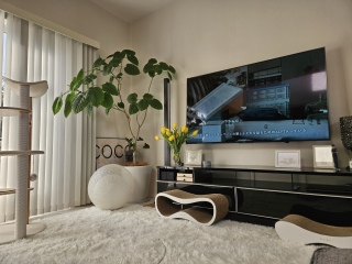 �����̖͗l�ւ�