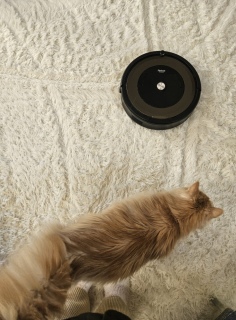 �X�}�z?���Ȃ���