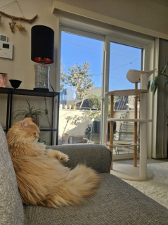 �}�}�փv���[���g����I