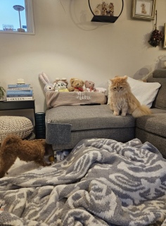 �}�}�A���̎q��������